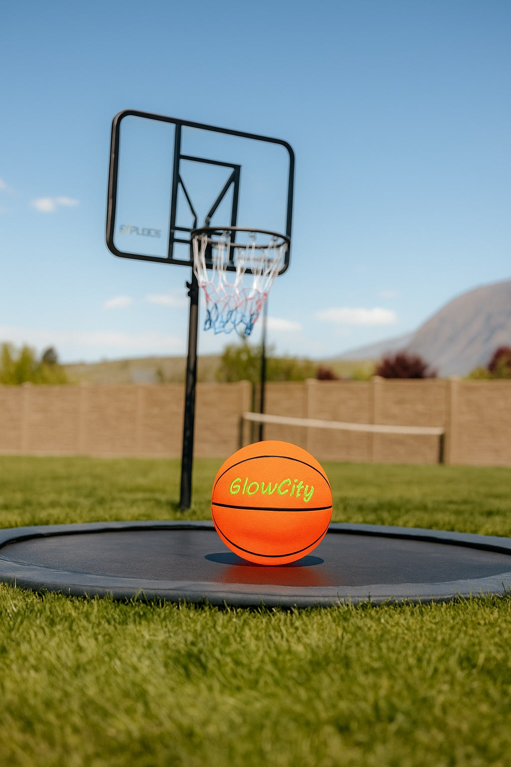 Light Up Basketball